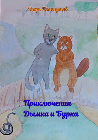 Обложка книги «Приключения Дымка и Бурка»