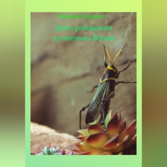 Обложка книги «День рождения кузнечика Кеши»
