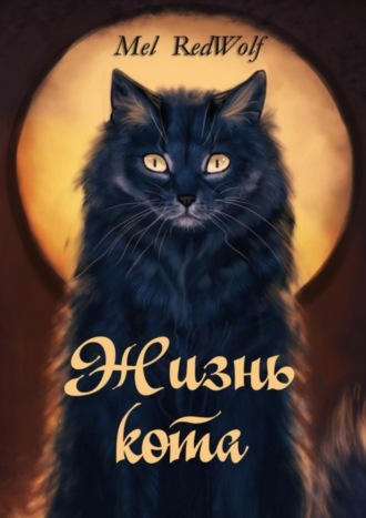 Обложка книги «Жизнь кота»