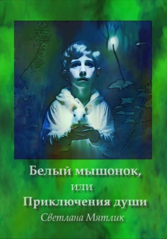 Обложка книги «Белый мышонок, или Приключения души»