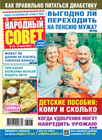 Обложка книги «Народный совет №25/2023»