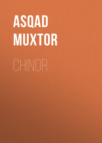 Обложка книги «Chinor»
