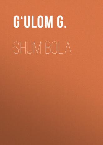 Обложка книги «Shum bola»