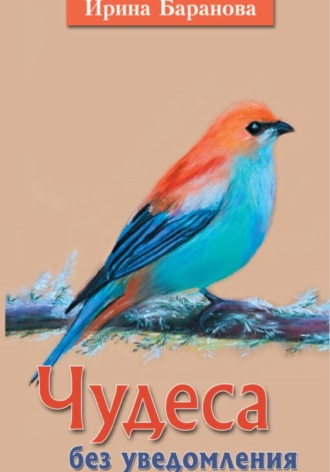 Обложка книги «Чудеса без уведомления»