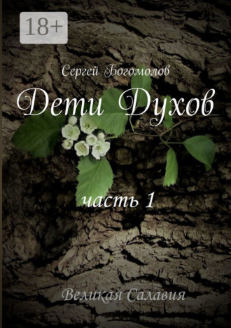 Обложка книги «Дети Духов. Часть 1»