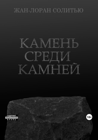 Обложка книги «Камень среди камней»