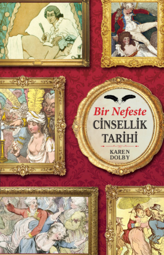 Обложка книги «Bir nefeste cinsellik tarihi»