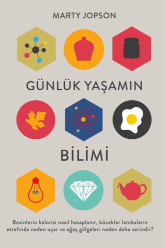 Обложка книги «Günlük yaşamın bilimi»