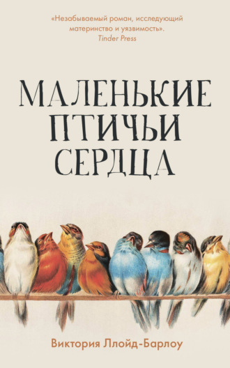 Обложка книги «Маленькие птичьи сердца»