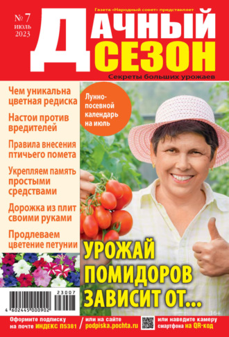 Обложка книги «Дачный сезон №07/2023»