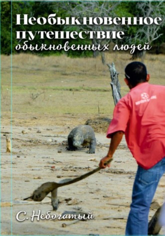 Обложка книги «Необыкновенное путешествие обыкновенных людей»