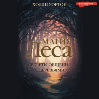 Обложка книги «Магия леса. Секреты общения с деревьями»