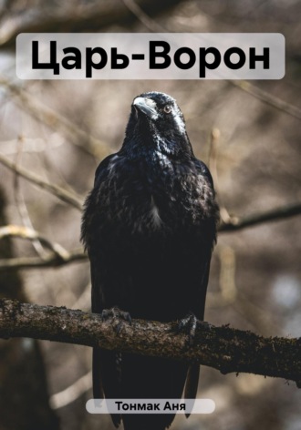 Обложка книги «Царь-Ворон»