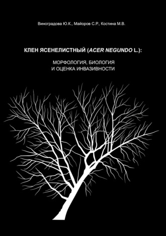 С. Р. Майоров. Клен ясенелистный (Acer negundo L.): морфология, биология и оценка инвазивности