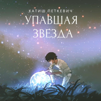 Обложка книги «Упавшая звезда»