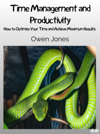 Обложка книги «Time Management And Productivity»