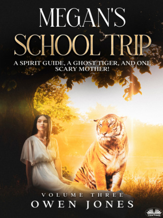 Обложка книги «Megan's School Trip»