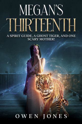 Обложка книги «Megan's Thirteenth»