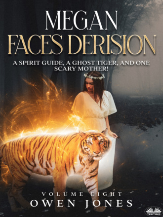 Обложка книги «Megan Faces Derision»
