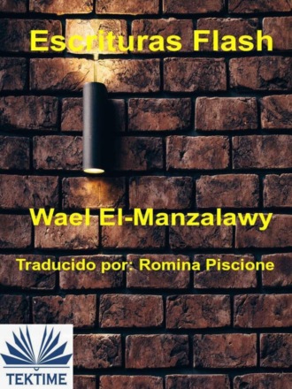 Обложка книги «Escrituras Flash»