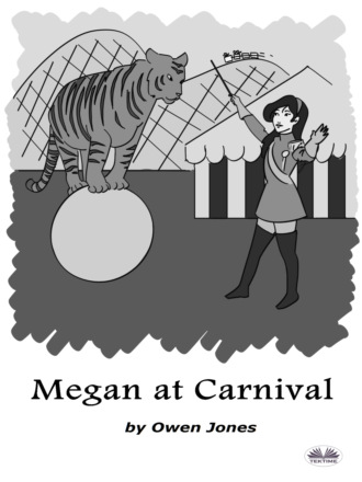 Обложка книги «Megan At Carnival»