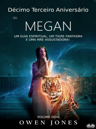 Обложка книги «Décimo Terceiro Aniversário De Megan»