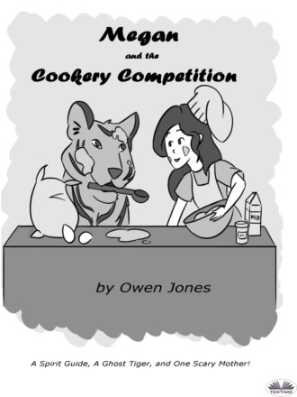 Обложка книги «Megan And The Cookery Competition»