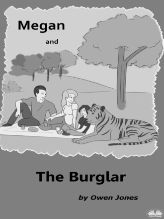 Обложка книги «Megan And The Burglar»