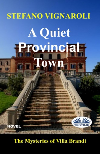 Обложка книги «A Quiet Provincial Town»