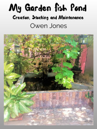 Обложка книги «My Garden Fish Pond»