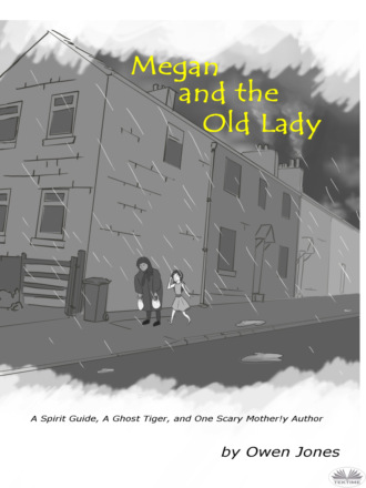 Обложка книги «Megan And The Old Lady»