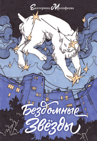 Обложка книги «Бездомные звезды»