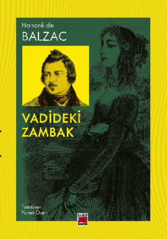 Обложка книги «Vadideki Zambak»