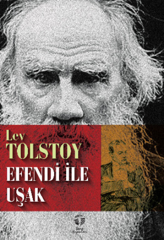 Обложка книги «Efendi ile Uşak»