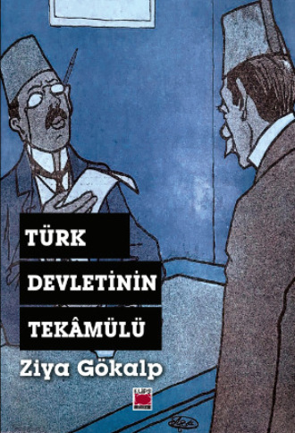 Обложка книги «Türk Devletinin Tekâmülü»