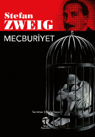 Обложка книги «Mecburiyet»