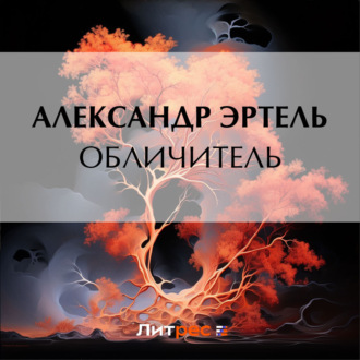 Обложка книги «Обличитель»