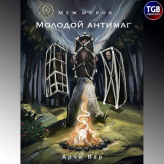 Обложка книги «Меж миров. Молодой антимаг»