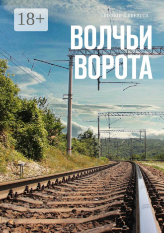 Обложка книги «Волчьи ворота»