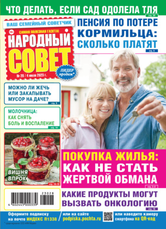 Обложка книги «Народный совет №28/2023»