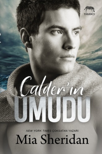 Обложка книги «Calder'ın umudu»