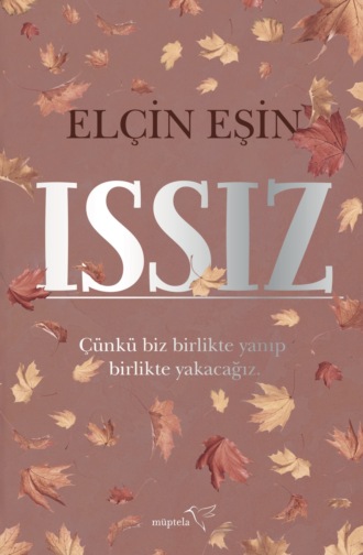 Обложка книги «Issız»