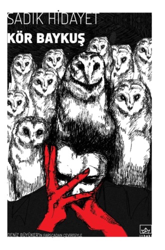 Обложка книги «Kör baykuş»