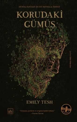 Обложка книги «Korudaki gümüş»