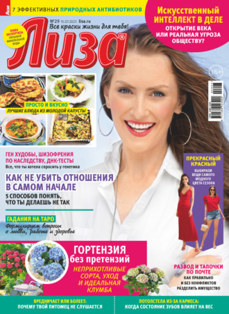 Обложка книги «Журнал «Лиза» №29/2023»