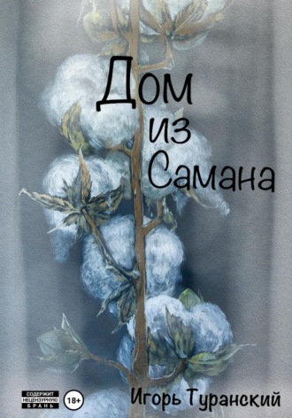 Обложка книги «Дом из самана»