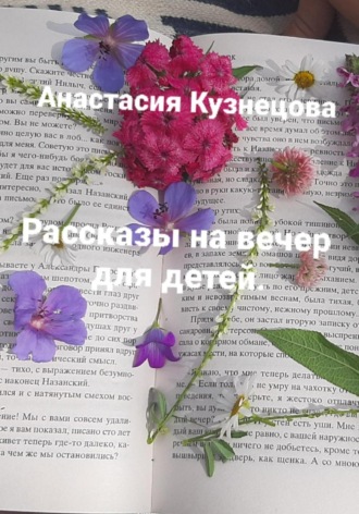 Обложка книги «Рассказы на вечер для детей»