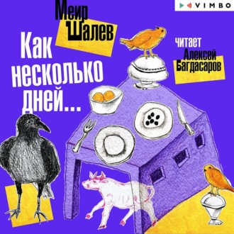 Обложка книги «Как несколько дней…»