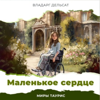 Обложка книги «Маленькое сердце»