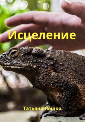 Обложка книги «Исцеление»